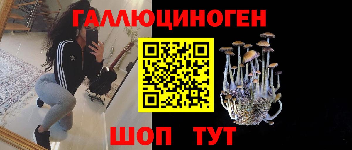 Псилоцибиновые грибы Psilocybine cubensis Лабытнанги